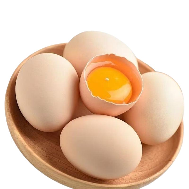 农家散养土鸡蛋初生蛋小个头大营养新鲜土鸡蛋初生蛋