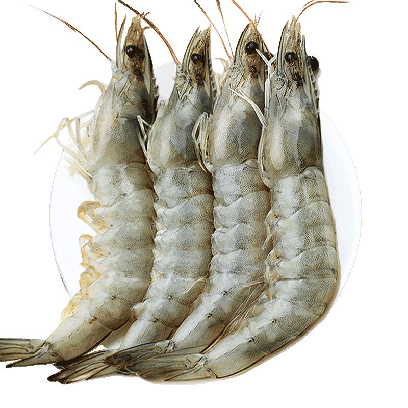 鲜驰 xianchi王牌大虾鲜活速冻超大基围虾海虾厄瓜多尔盐冻白虾南美对虾类海鲜