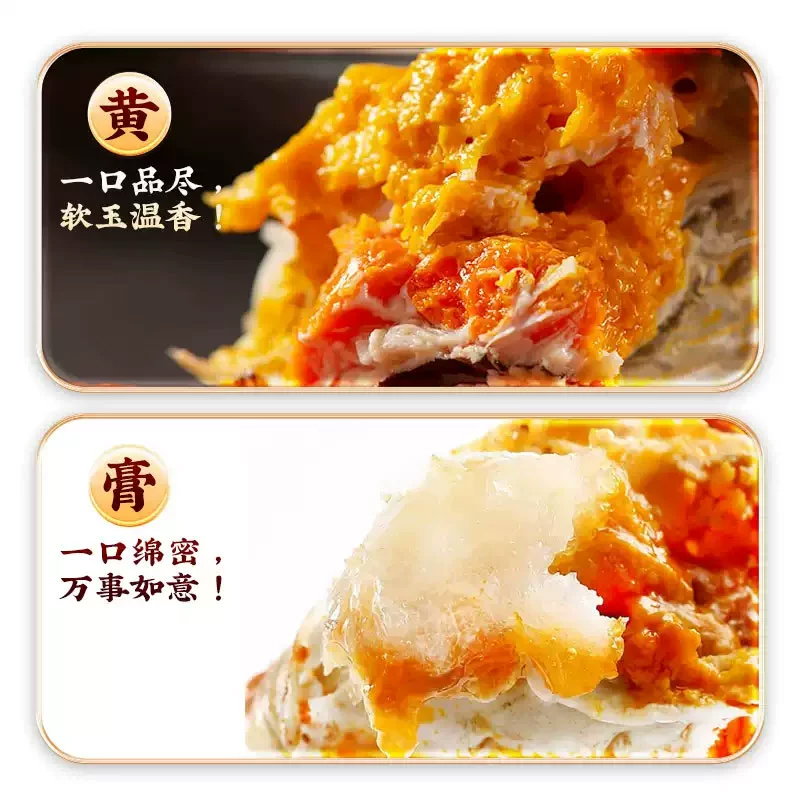 苏状元大闸蟹鲜活螃蟹官方旗舰店全母蟹现货大闸蟹礼盒毛蟹活螃蟹