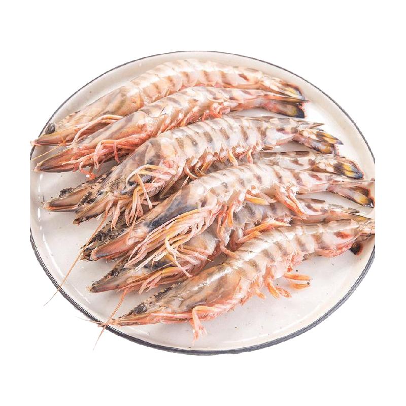 九节虾斑节虾大虾鲜活速冻 海虾斑节虾竹节虾黑虎虾新鲜虾基围虾