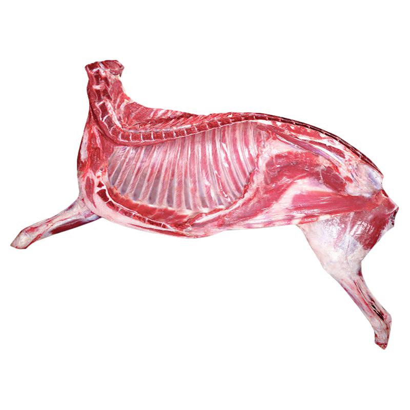 艾克拜尔 艾克拜 新鲜 带骨半只羊10斤