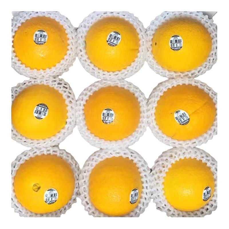 新奇士（Sunkist）橙子 澳洲新奇士脐橙 新鲜水果礼盒生鲜 黑标礼盒大果4斤装 单果180g+