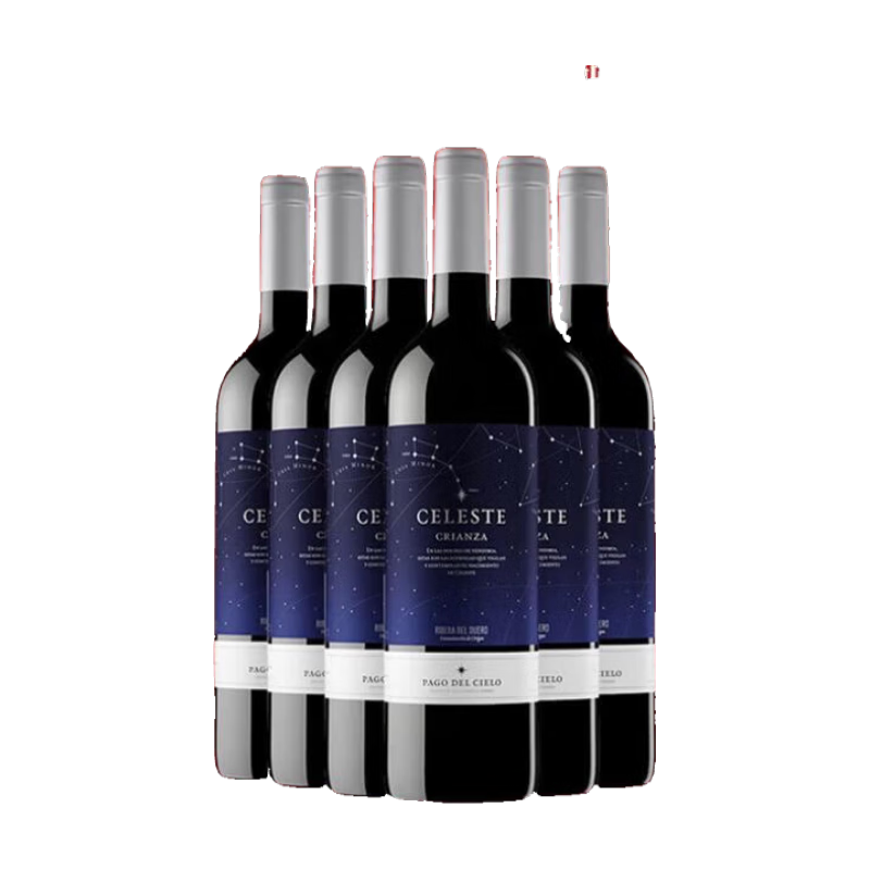 TORRES 桃乐丝 精选星空红葡萄酒 750ml*6 整箱装 CRIANZA等级