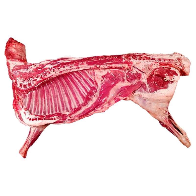 羊家旺 宁夏滩羊肉 生鲜国产半只羊10斤新鲜现宰山羊羊腿羊排年货礼盒
