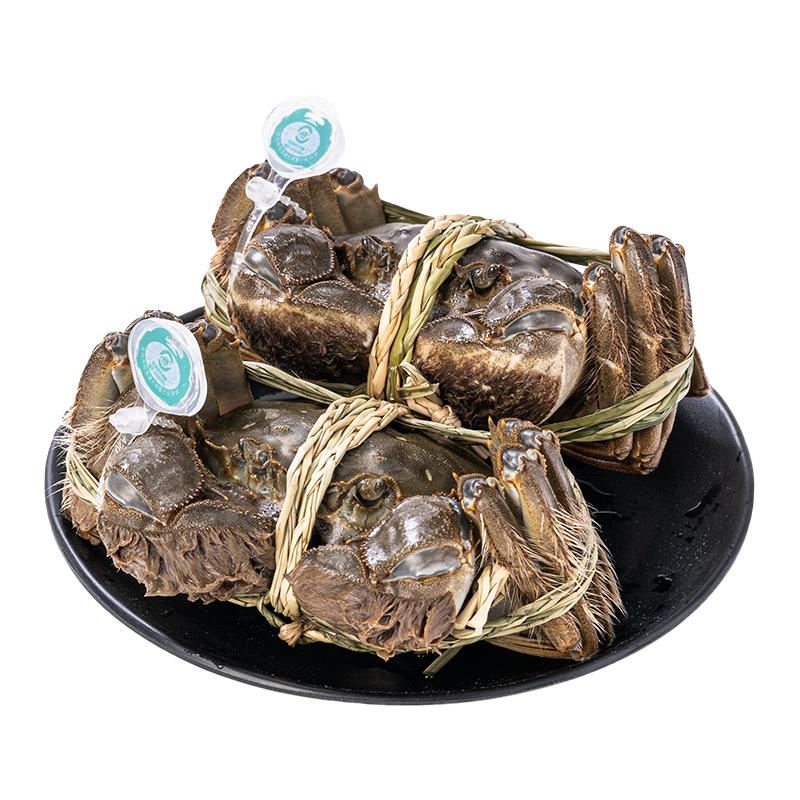 【活蟹】蟹如愿阳澄湖大闸蟹 可全母盒鲜活螃蟹源头直发