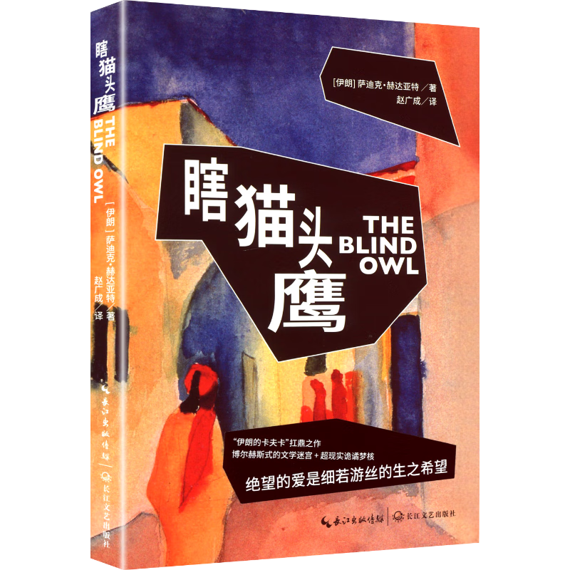 瞎猫头鹰（长江文馆）