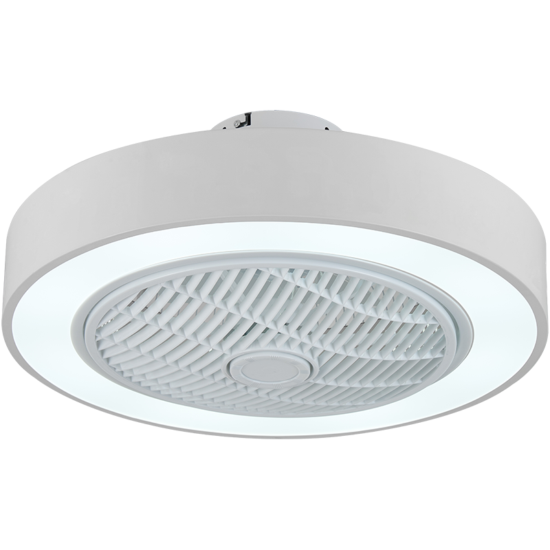 奥克斯（AUX）吊扇灯餐厅卧室吊灯家用客厅大风力电扇隐形现代简约变频风扇灯 高性价比/全光谱48寸/遥控变频6档 风漾星空款36寸24瓦/3档调风调光