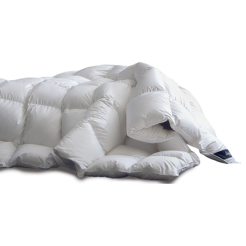 Globon 格兰贝恩 霍尔多巴吉鹅绒被