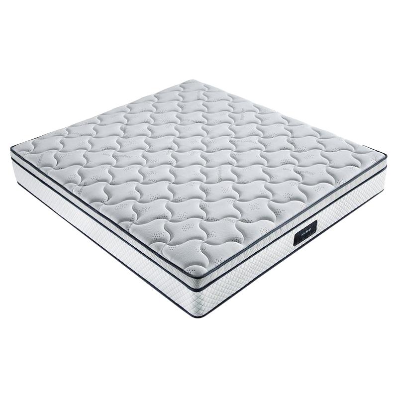 Asnug 爱舒 舒情五型 3d椰棕护脊床垫 1800*2000*22mm