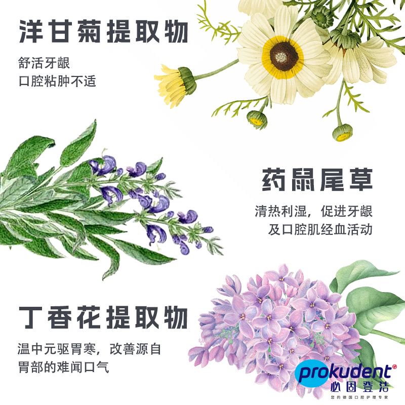  prokudent/必固登洁 固齿护龈 漱口水