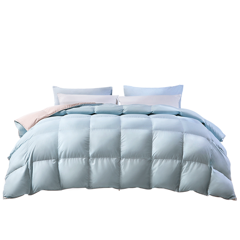 富安娜（FUANNA） 羽绒被 春秋四季被冬天保暖蓬松白鹅绒被芯