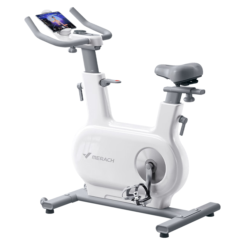 麦瑞克（MERACH）动感单车家用智能自发电器材室内自行车绝影ONE2代 MR-S10W4 2代Pro版-12KG超感强磁控-自发电