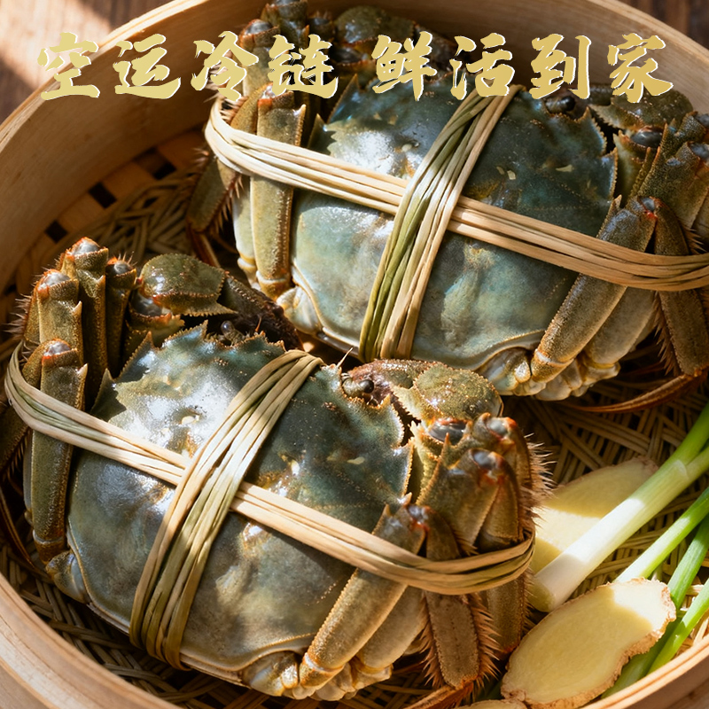 渔传播固城湖大闸蟹鲜活3.0全母螃蟹4.0公河蟹特大海鲜精品礼盒