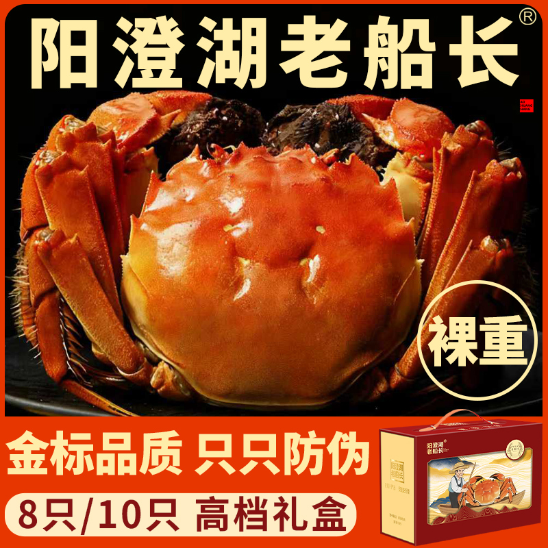 阳澄湖老船长大闸蟹螃蟹鲜活河蟹特大全母蟹礼盒店