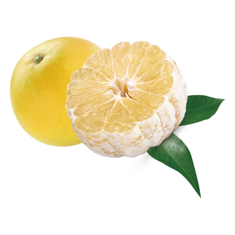 都乐Dole 福建黄金葡萄柚5斤8-12粒 单果200g+ 新鲜多汁 源头直发