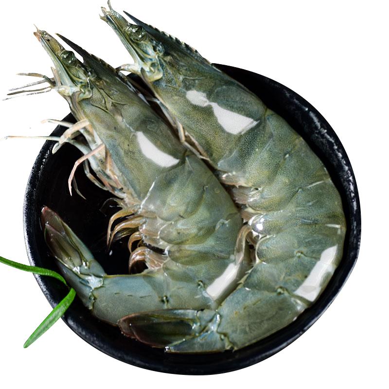  XYXT/虾有虾途 鲜活 海虾  12-14cm 13-15cm 14-16cm 15-17cm 18-22cm 包装 1750g