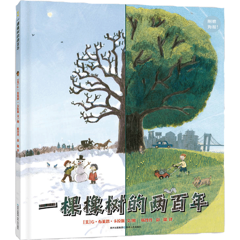 一棵橡树的两百年（610mm*508mm大尺寸年轮海报）