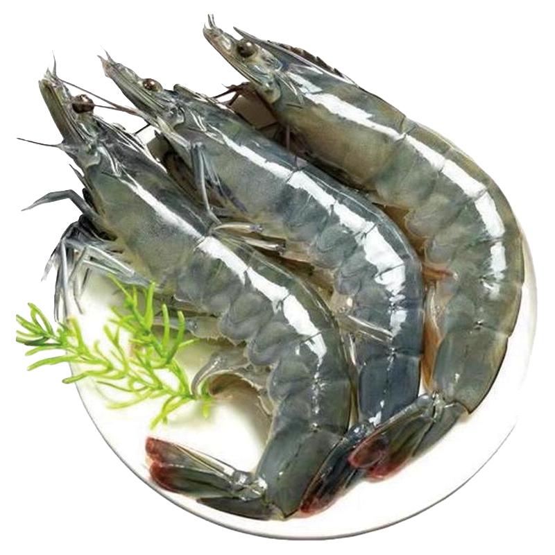 新鲜大虾鲜活基围虾超大青岛海虾冻虾对虾青虾2030盐冻虾海鲜水产