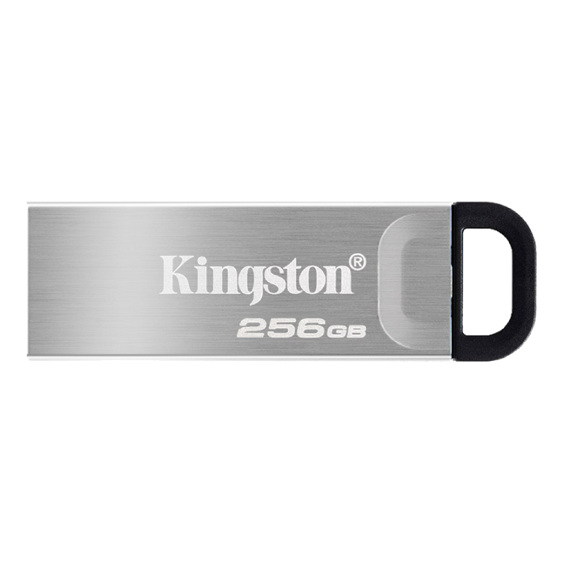 Kingston 金士顿 DTKN USB 3.2 Gen1 U盘 银色 256GB USB+苹果转接头