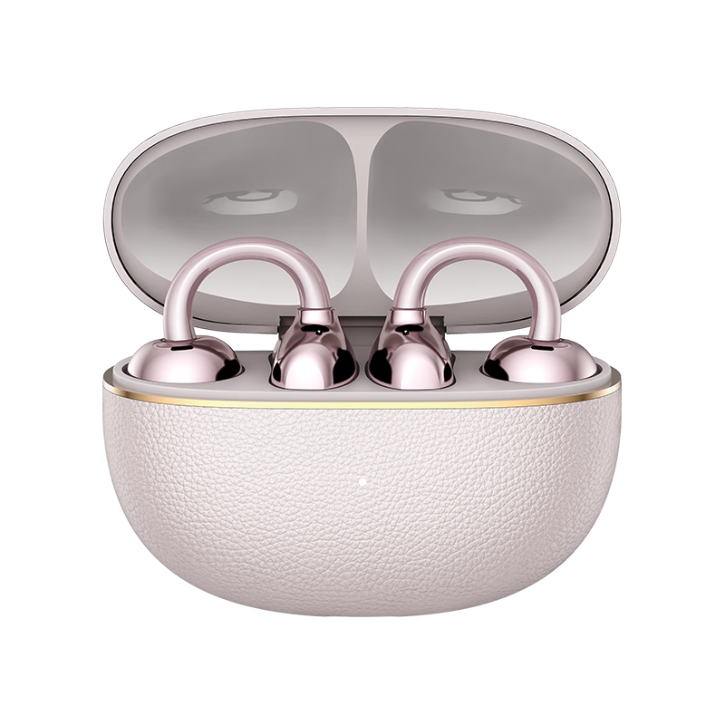 荣耀亲选/LCHSE 2 Pro 通话降噪 长续航 高清音质 耳机