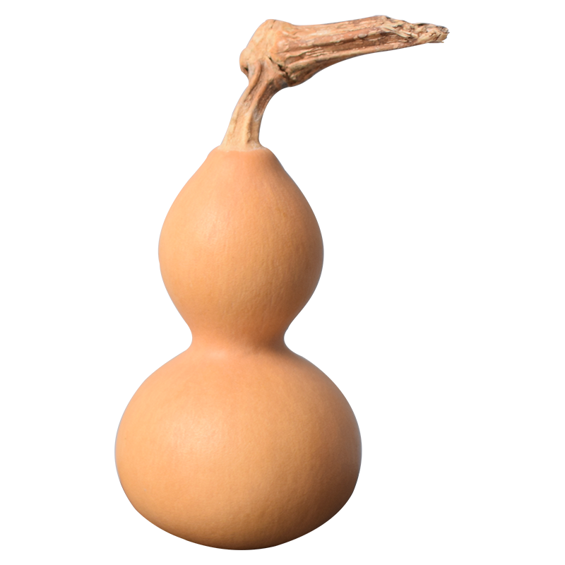 寿禾shouhe 葫芦种子大全特大文玩手捻水瓢瓜食用迷你巨型特小把玩春冬季 3-6cm果 草里金手捻葫芦种子10粒