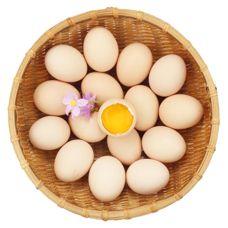 鹏昌 鲜鸡蛋 30枚 礼盒装