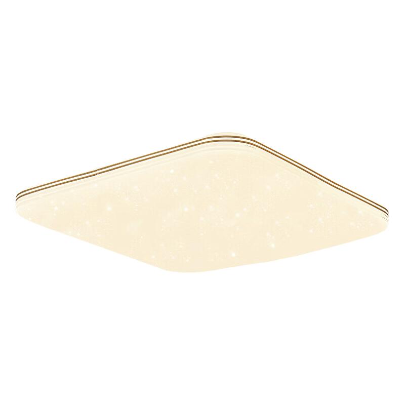 DongDong 東東 D0071-X/48W/TR 现代简约卧室吸顶灯客厅灯LED灯具灯饰 遥控无极调光调色(玫瑰金) 雷士照明设计师品牌