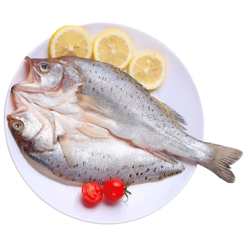 新鲜活冻三去开背开腹白蕉海鲈鱼生鲜海鱼海鲜水产去鳃去鳞去内脏 开肚海鲈鱼200-250g*6条
