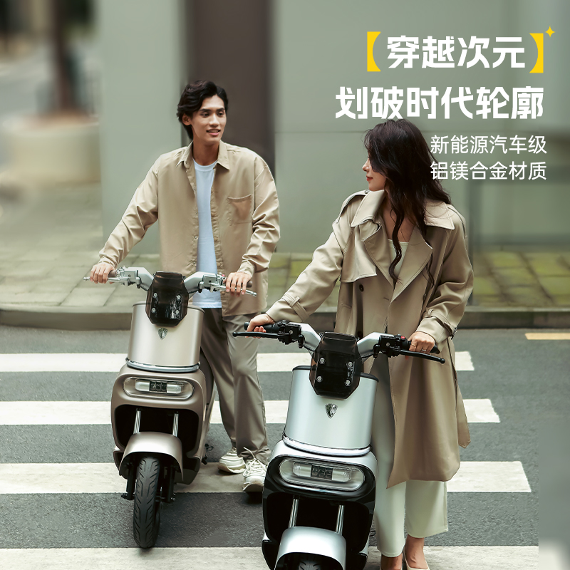 立马全新国标电动自行车阿尔法48v代步电瓶车可上牌电动车