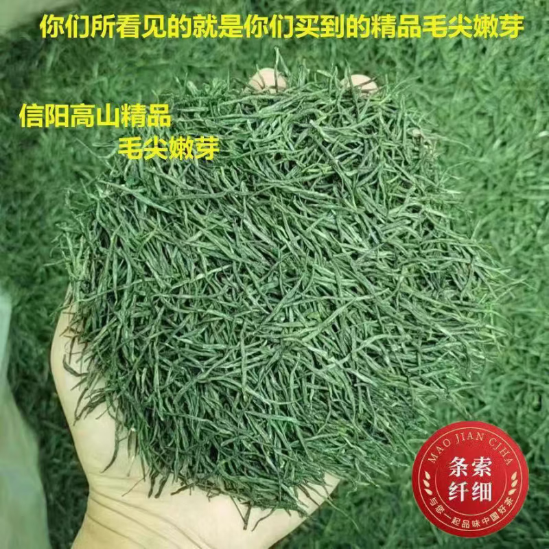 信阳毛尖【信阳毛尖一斤】2024新茶信阳毛尖茶叶手工高山嫩芽浓香耐泡 500g 浓香耐泡毛尖茶500g袋装