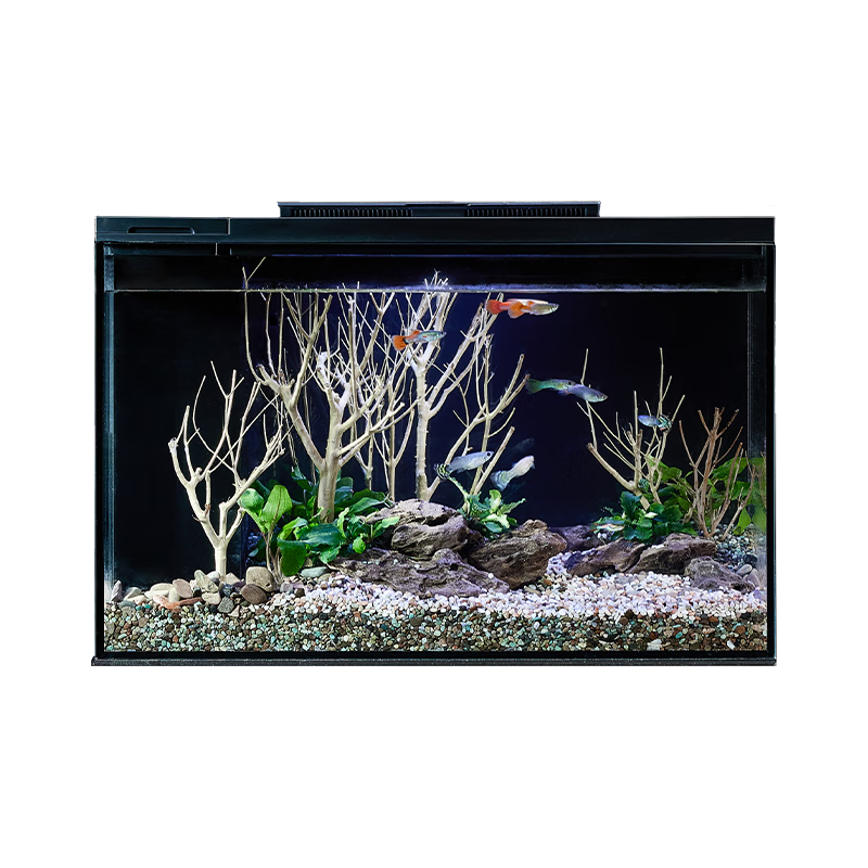 PETKIT 小佩 ×起源纪智能鱼缸Pro 水族箱金鱼缸生态过滤玻璃客厅彩灯中型15L 智能鱼缸Pro(不含造景)