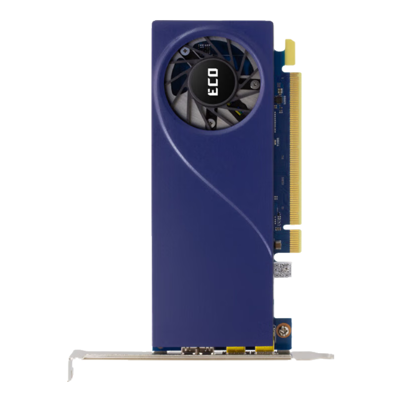 SPARKLE Intel Arc A310 ECO 4GD6 显卡