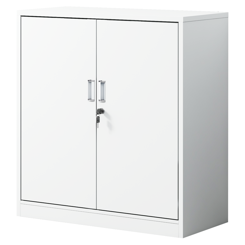  ZHONGWEI/中伟 钢制铁皮柜  长850mm;宽390mm;高920mm 对开门矮柜 2层