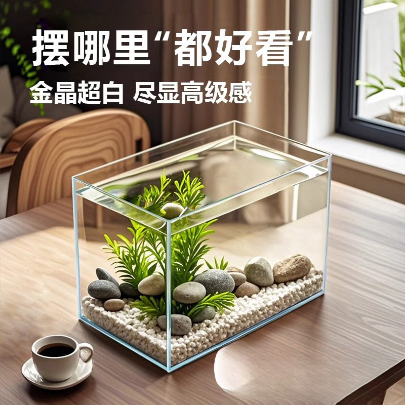 超白金晶玻璃缸溪流缸斗鱼客厅家用水族乌龟缸中小型生态鱼缸