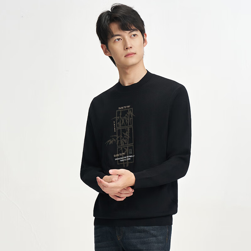 才子（TRIES）圆领毛衣男士春秋男装提花套头针织衫螺纹领毛衫毛衣打底衫 黑色 2XL 52(180/96A)