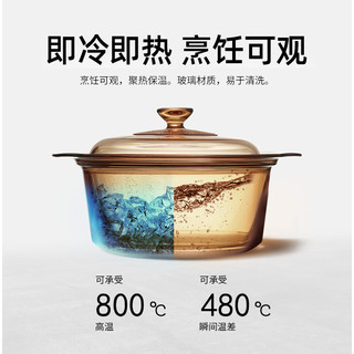 VISIONS康宁晶彩透明锅法国双耳汤锅家用玻璃锅明火直烧烤箱 贵妃锅 20.5cm 2.5L 康宁晶彩琥珀透明锅系列【法国】