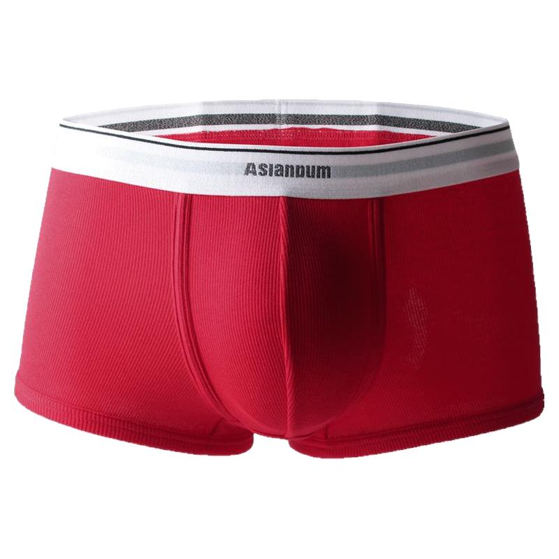 asianBum 3条装 男士四角内裤 U240331N