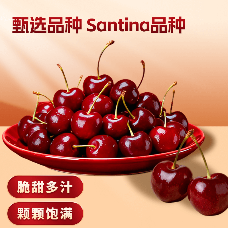 兴果里车厘子智利车厘子桑提娜新鲜水果3j送年货礼盒