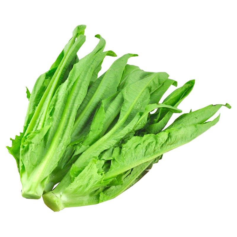 绿农说 油麦菜 300g