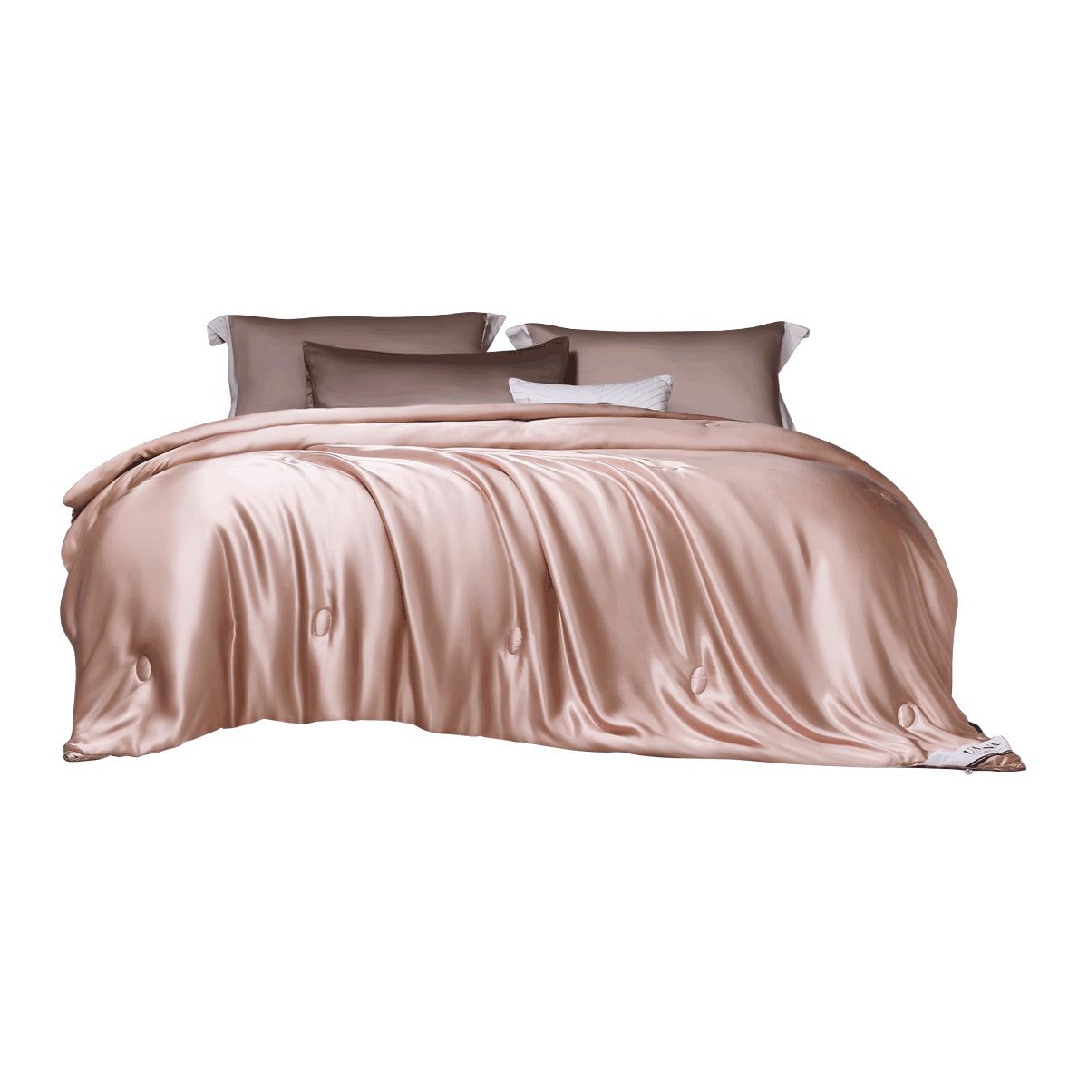 100%蚕丝被芯床上用品被子冬被四季通用秋冬季家用