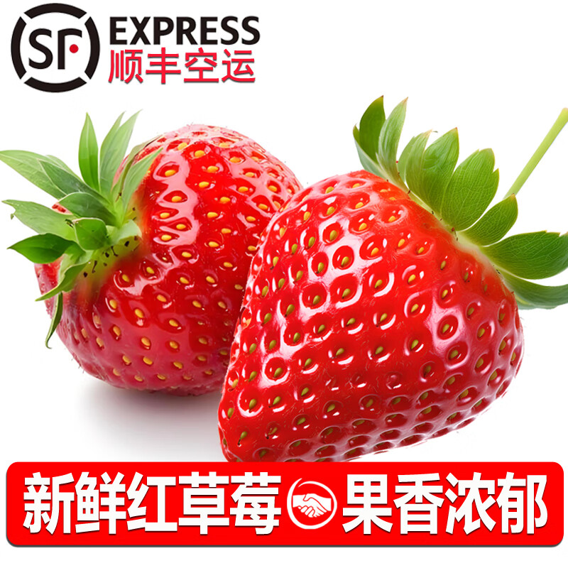 诸氏橙品【空运】草莓 奶油草莓红颜/白玉草莓当季新鲜水果多地次日配 红草莓4盒，15粒/盒，单果20g+