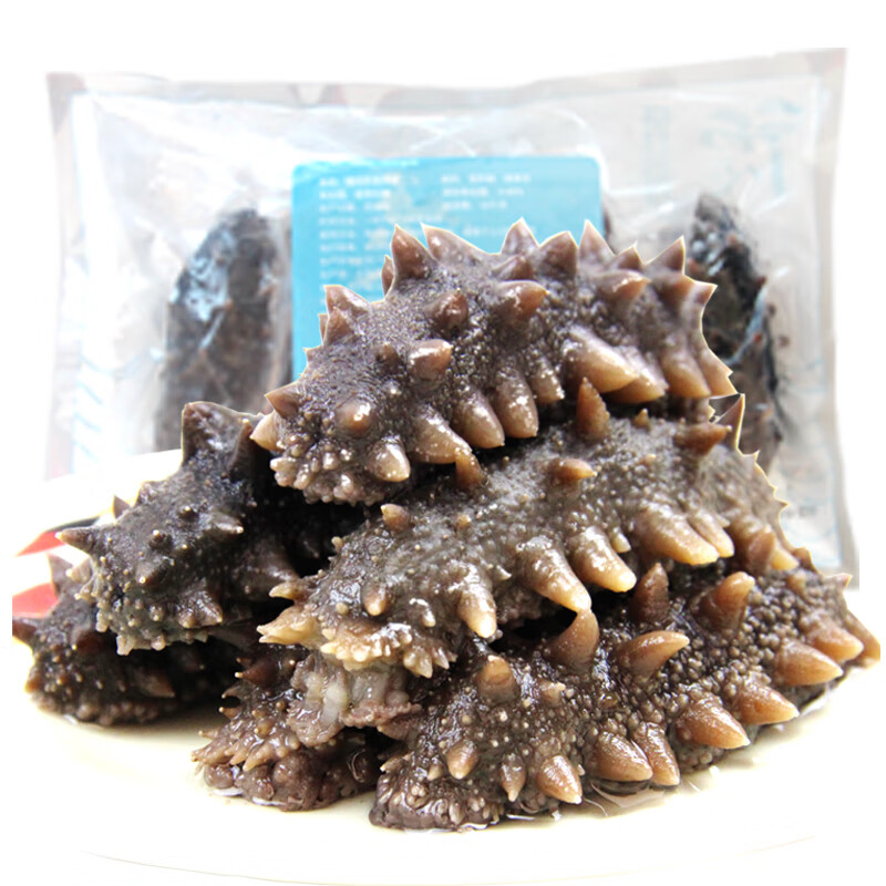 徳屿 大连速冻即食海参刺参 辽刺参 1500g 18-24只