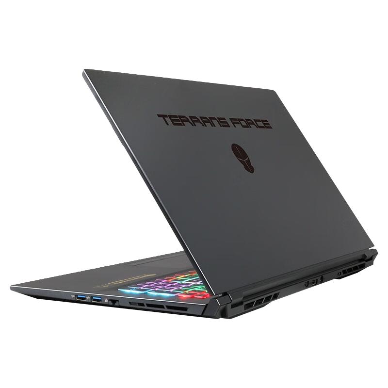 TERRANS FORCE 未来人类 T7 17.3英寸 游戏本 黑色（酷睿i7-10870H、RTX 3080 Max-Q 16G、32GB、1TB SSD、1080P、LCD、300Hz）