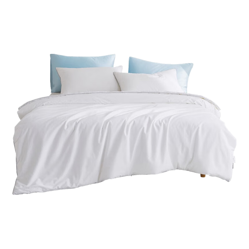 太湖雪儿童桑蚕丝被芯100%桑蚕长丝填充抗菌空调被加厚秋冬地暖被子 【