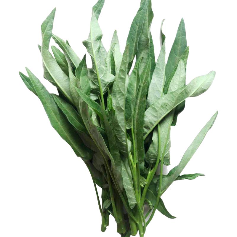 绿源禾心 绿源禾心 有机空心菜 约250g 新鲜蔬菜 250g