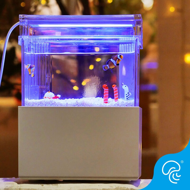 月光水母桌面小鱼缸小丑鱼小型海水缸小型办公室斗鱼水族箱微景观生态套装