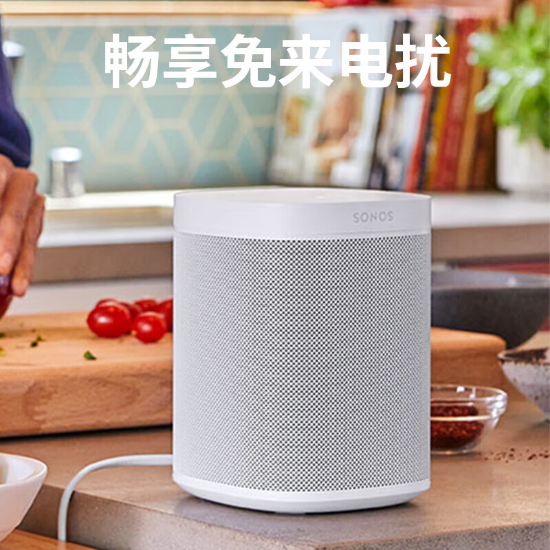  SONOS/搜诺思 Era 100 可组合家庭影院 WIFI无线蓝牙音响