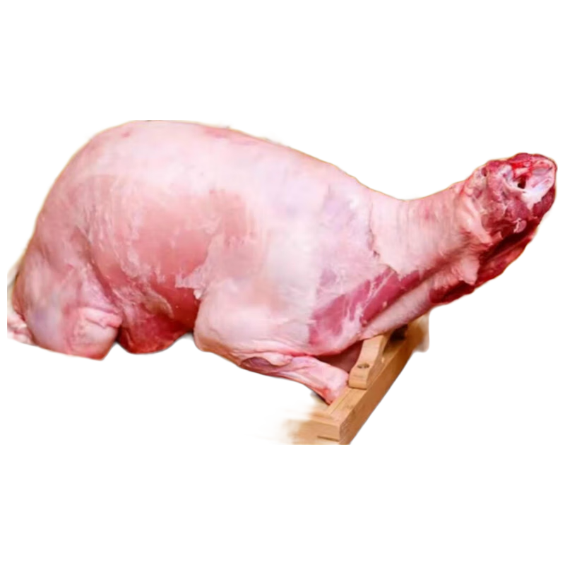  井親 活羊现杀 整只新鲜白条羊