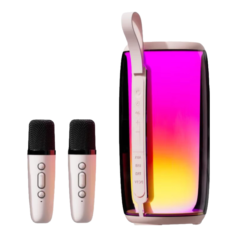  Newmine/纽曼 自带声卡 无线蓝牙音响K歌麦克风套装+双话筒