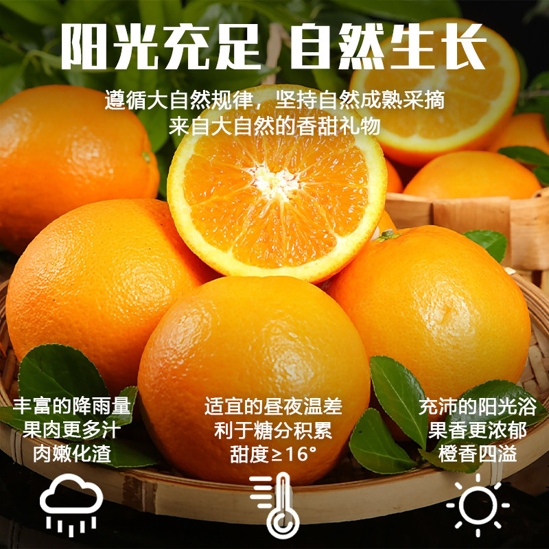 【2025现摘】江西赣南脐橙当季橙子新鲜水果整箱产地直发